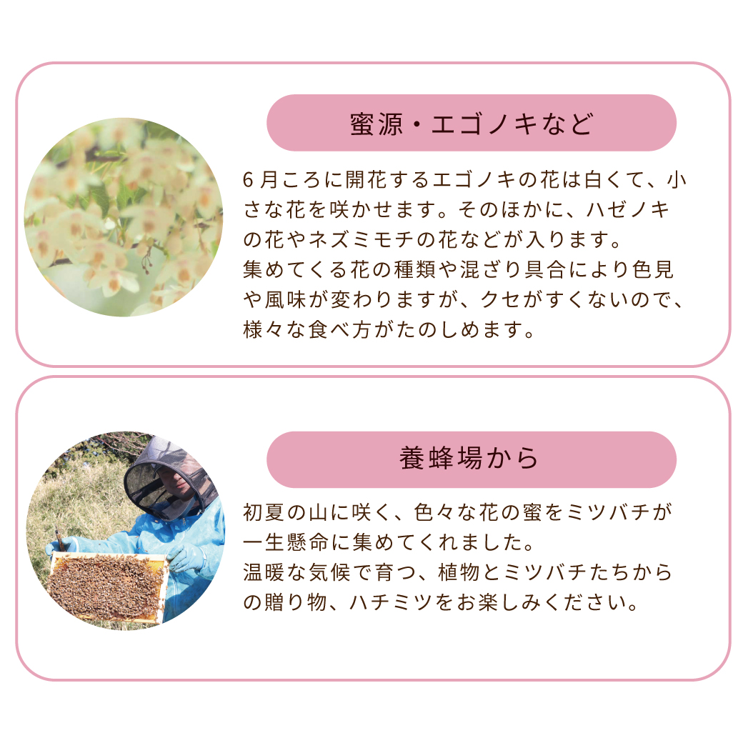 おうちで旅するハチミツ 6本(各70g)セット 旅はち みつばちのーと