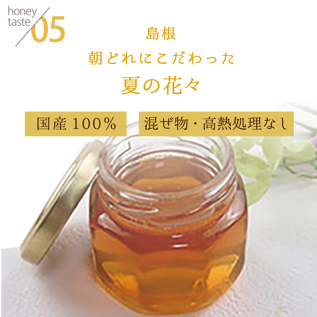 あーさん 情熱2点+梨+メロウ+ビーチ+先ピカ+無花果+蜂蜜+氷+完熟 ピコミーレ オーガニックビーチハニージュー生はちみつ 500g